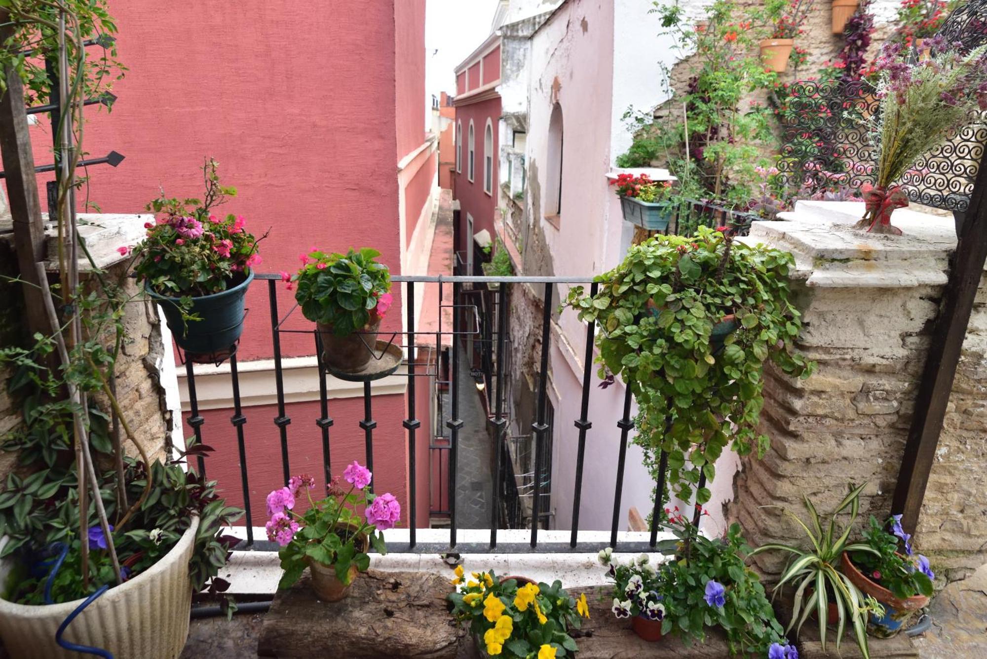 Suite Dona Ines Barrio Santacruz Siviglia Esterno foto